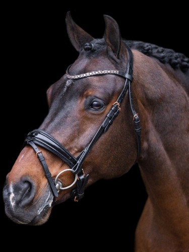 Bridle Olympia Imperial Riding