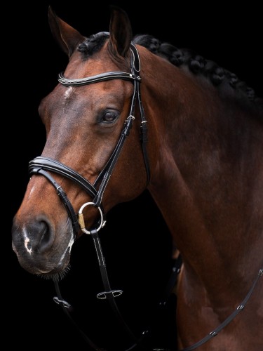 Bridle Legacy HV Polo
