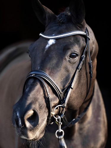 Bridle Legacy Deluxe HV Polo