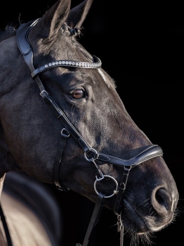 Bridle Legacy Anatomical Deluxe HV Polo