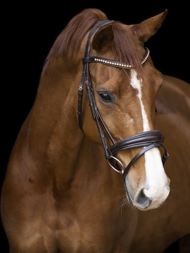 Bridle Fria Imperial Riding