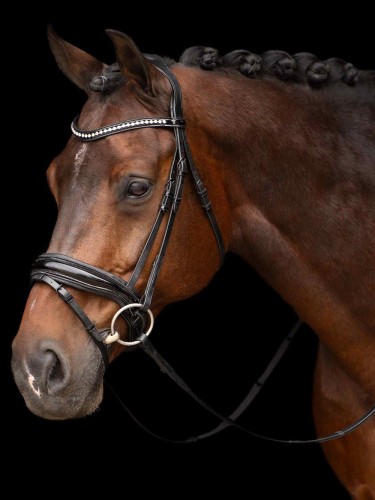 Bridle Athena Imperial Riding