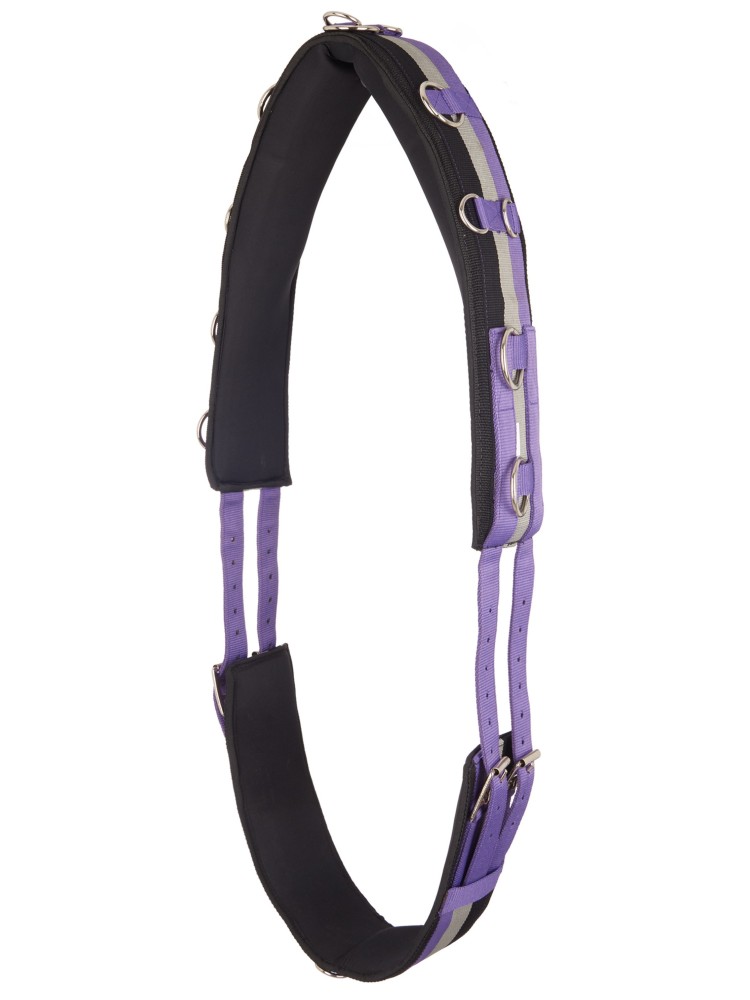 Lunging girth Deluxe Imperial Riding