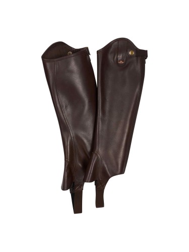 Chaps Lisanne HV Polo