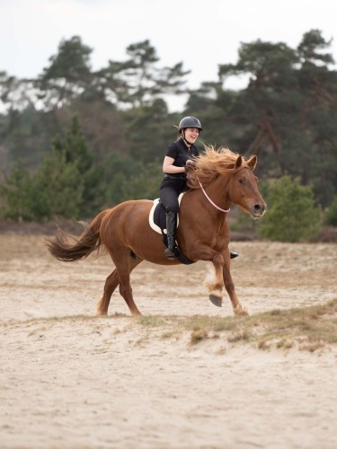 Bareback pad Free Ride