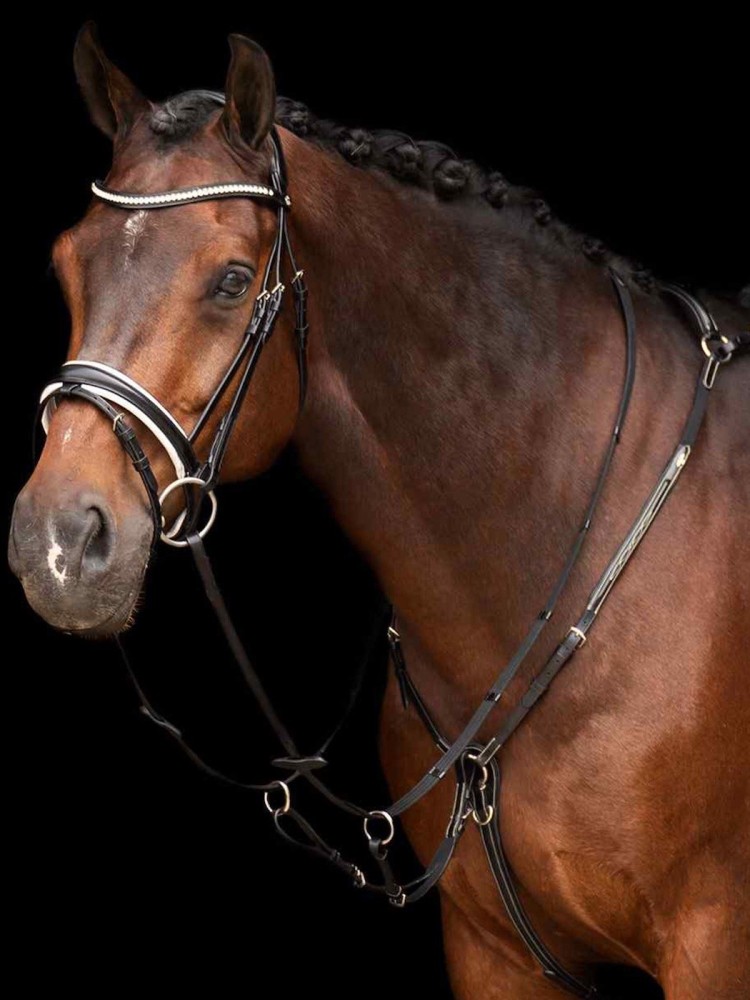 Martingale Legacy HV Polo