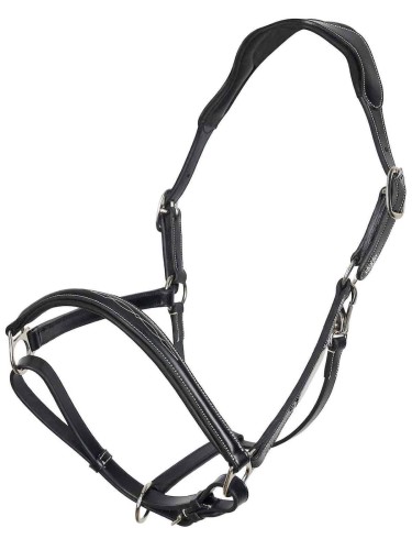 Leather halter Legacy HV Polo