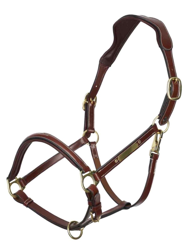 Leather halter Legacy HV Polo