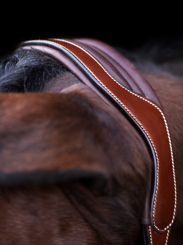 Leather halter Legacy HV Polo