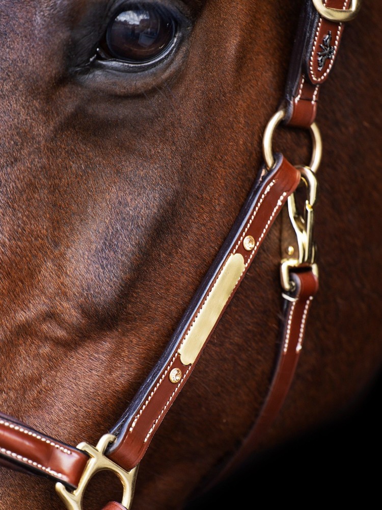 Leather halter Legacy HV Polo