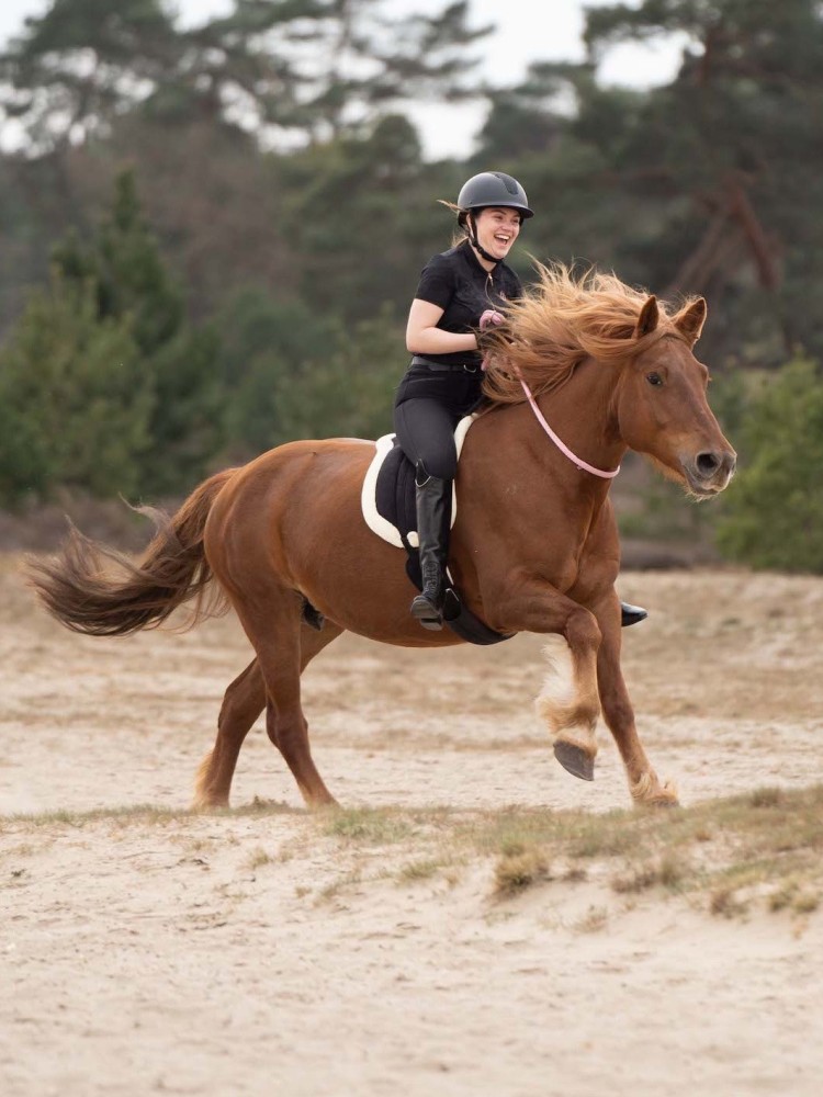 Neck loop Free Ride Imperial Riding