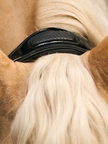 Leather halter Hera Imperial Riding
