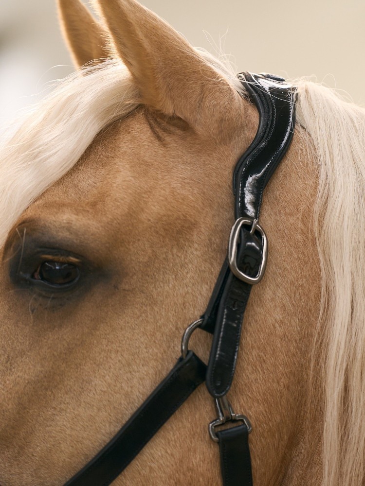 Leather halter Hera Imperial Riding