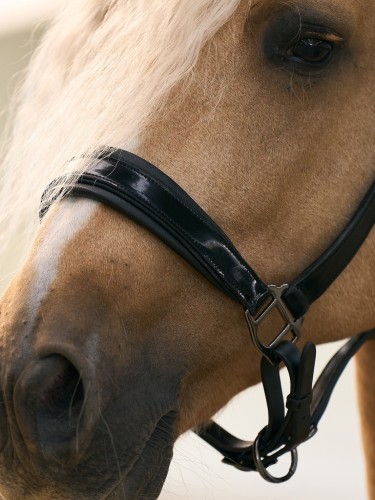 Leather halter Hera Imperial Riding