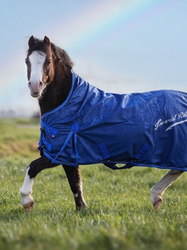 Turnout rug Super-dry 100g 600D Imperial Riding
