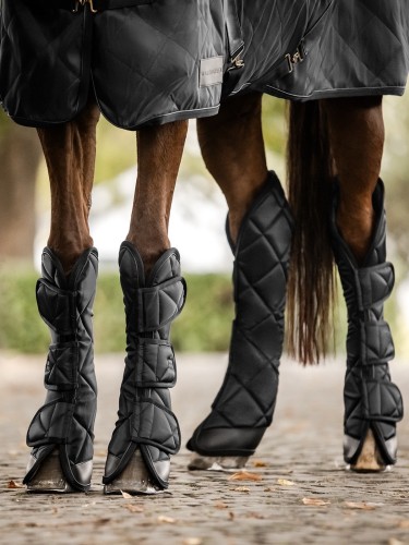 Travel boot Exclusive Waldhausen