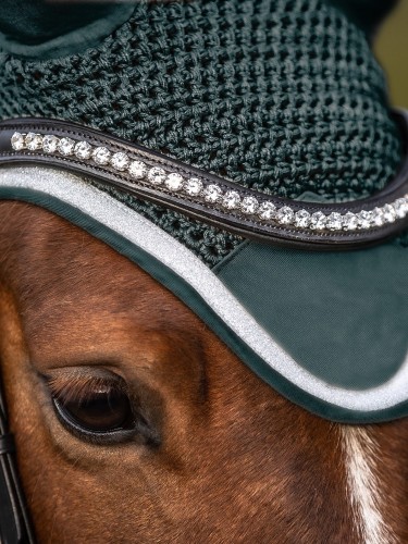 Fly veil Competition Waldhausen