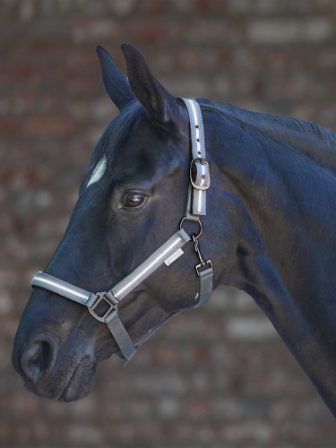 Halter Reflex Stripe Waldhausen