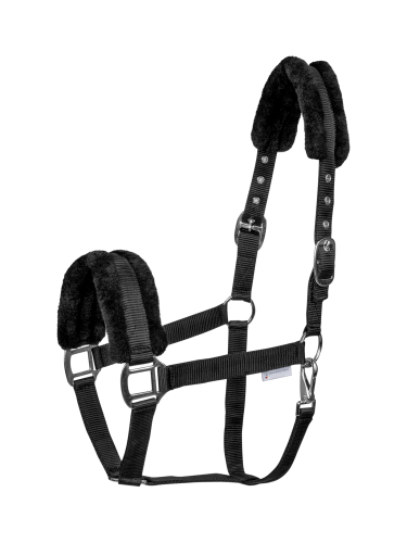 Halter First Waldhausen