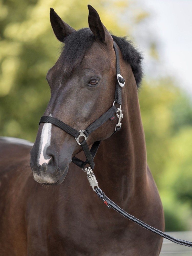 Halter Hippo Covalliero