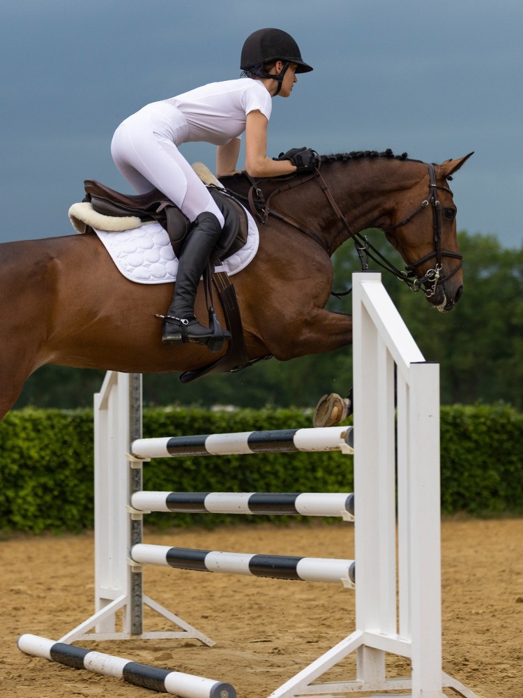 Riding tights Flying Euro-Star