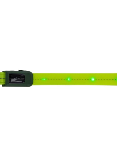 Breastplate LED Covalliero