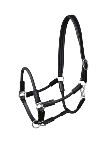 Halter Nevada Waldhausen