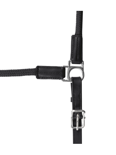 Halter Nevada Waldhausen