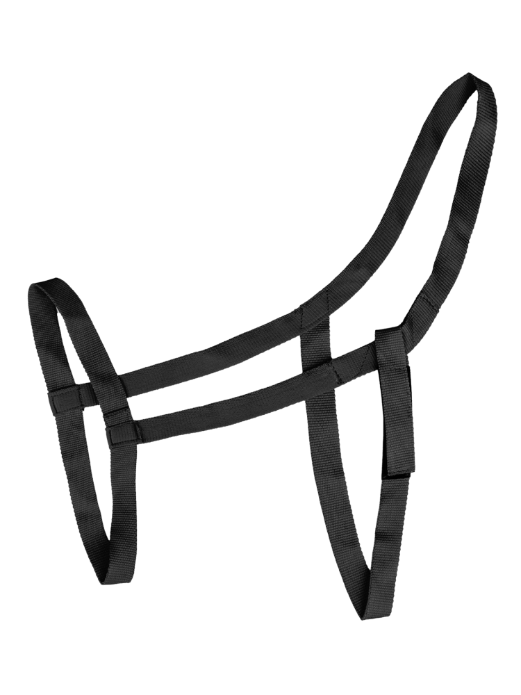 Halter Pasture Waldhausen