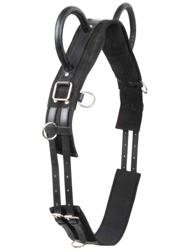 Lunging girth Vidal Imperial Riding