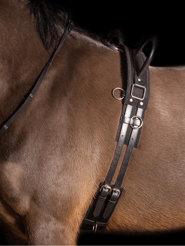 Lunging girth Vidal Imperial Riding