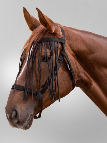 Pasture halter Fly Fringes Waldhausen