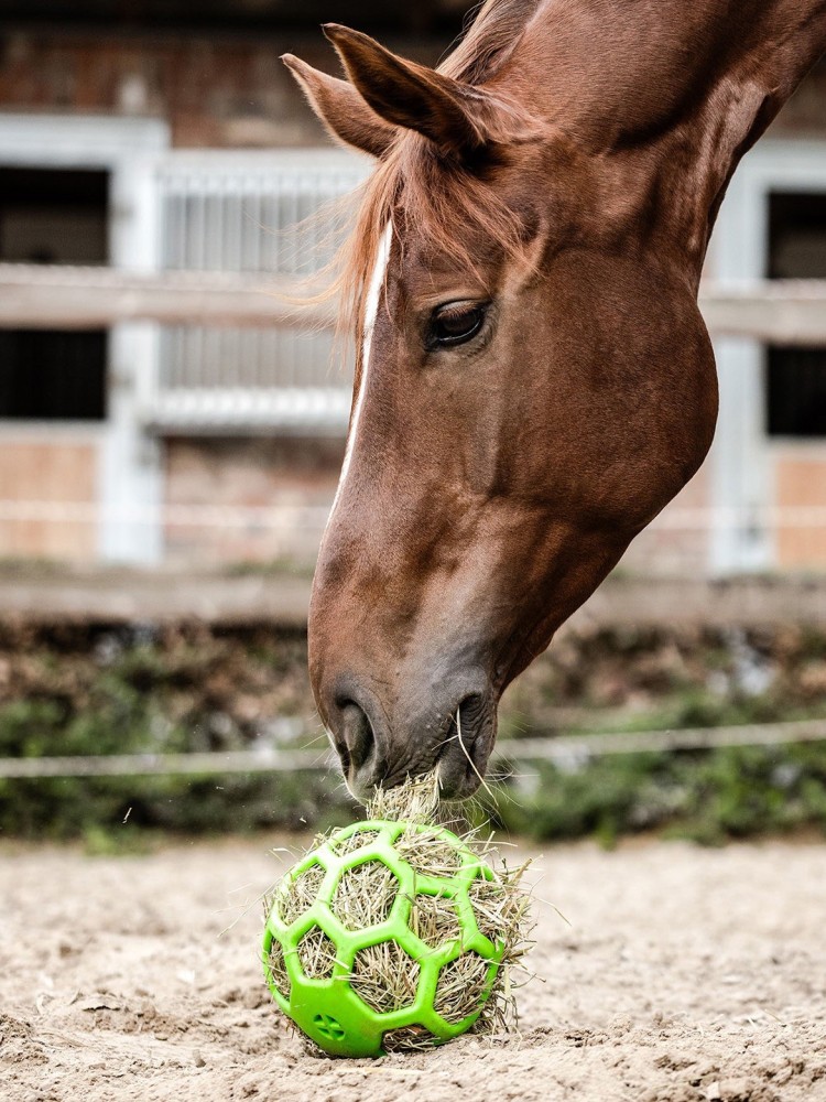 Hay Ball Waldhausen