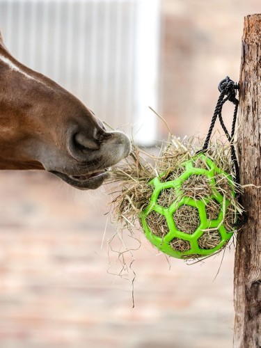 Hay Ball Waldhausen
