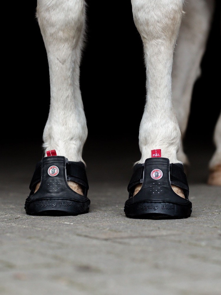 Trekking Shoe Equine Fusion®