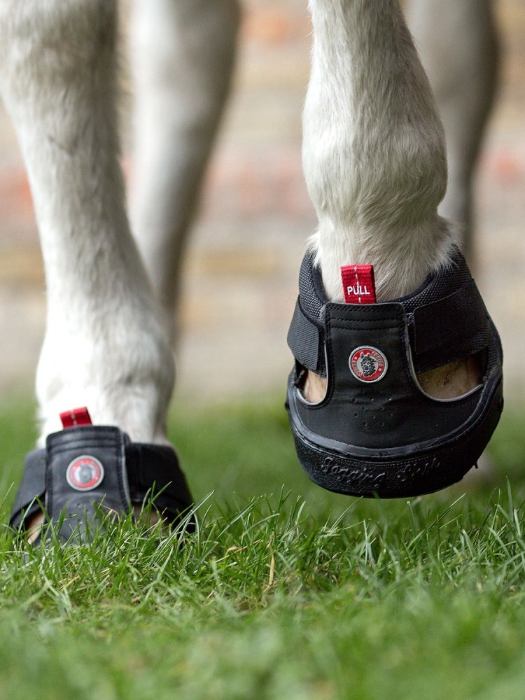Trekking Shoe Trekking Equine Fusion® Slim