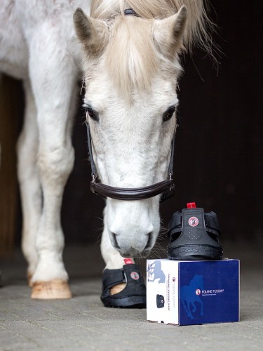 Trekking Shoe Trekking Equine Fusion® Slim