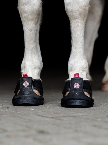 Trekking Shoe Trekking Equine Fusion® Slim