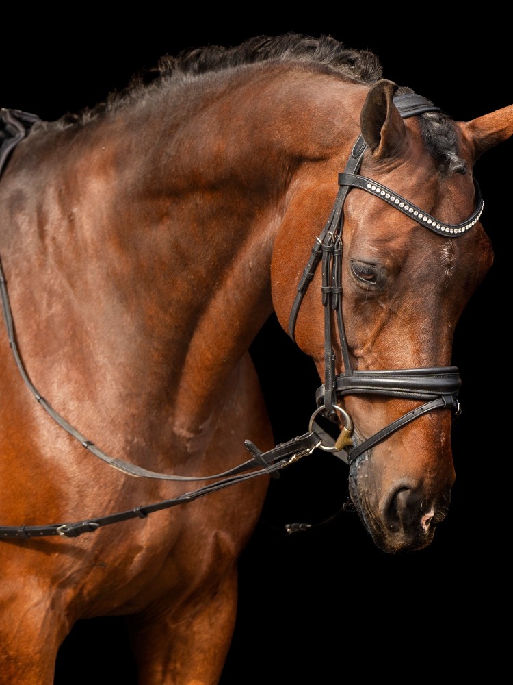 Side reins leather Core Elastic Imperial Riding
