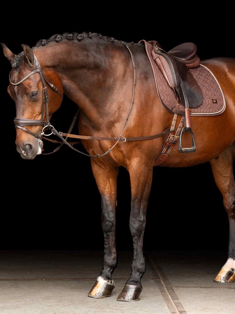 Side reins leather Core Elastic Imperial Riding