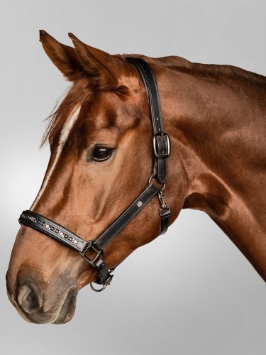 Leather halter Crystal Waldhausen X-Line