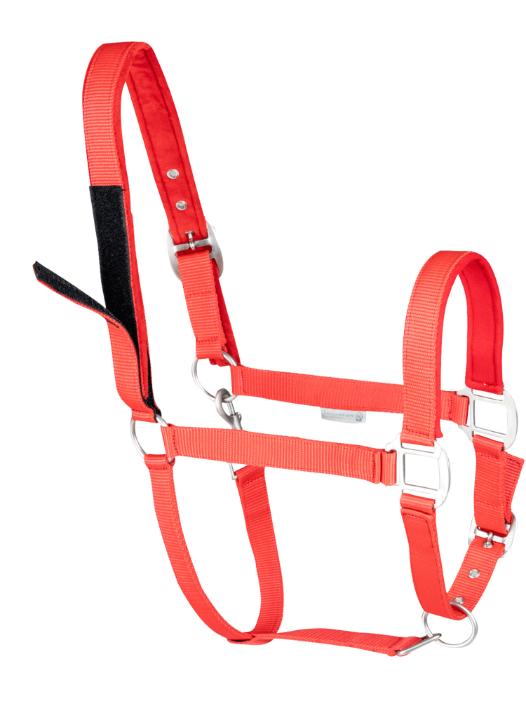 Halter Safety Waldhausen