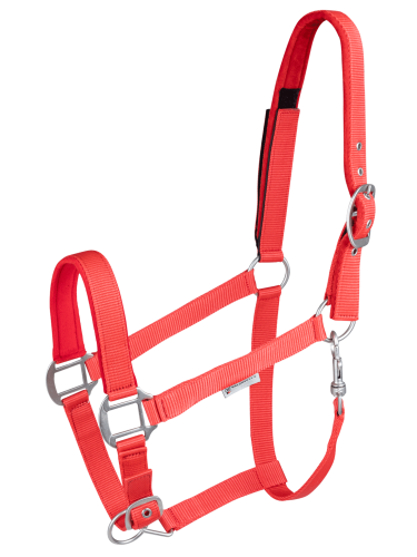 Halter Safety Waldhausen