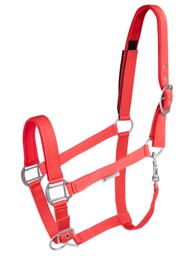 Halter Safety Waldhausen