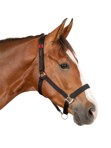 Halter Safety Waldhausen
