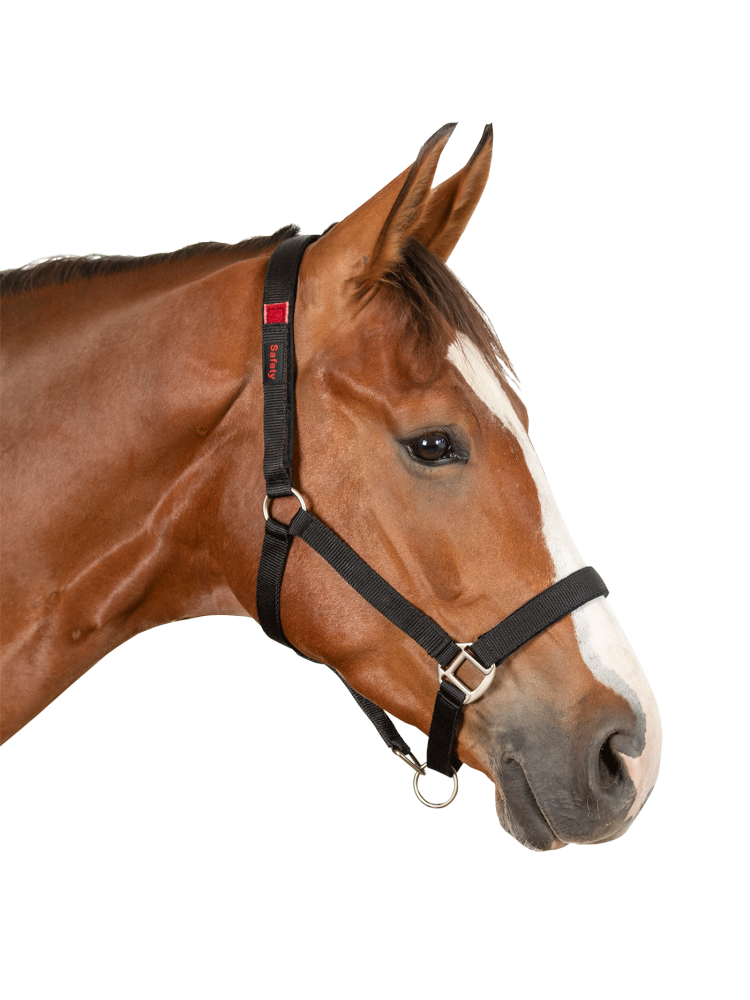 Halter Safety Waldhausen