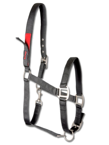 Halter Safety Waldhausen