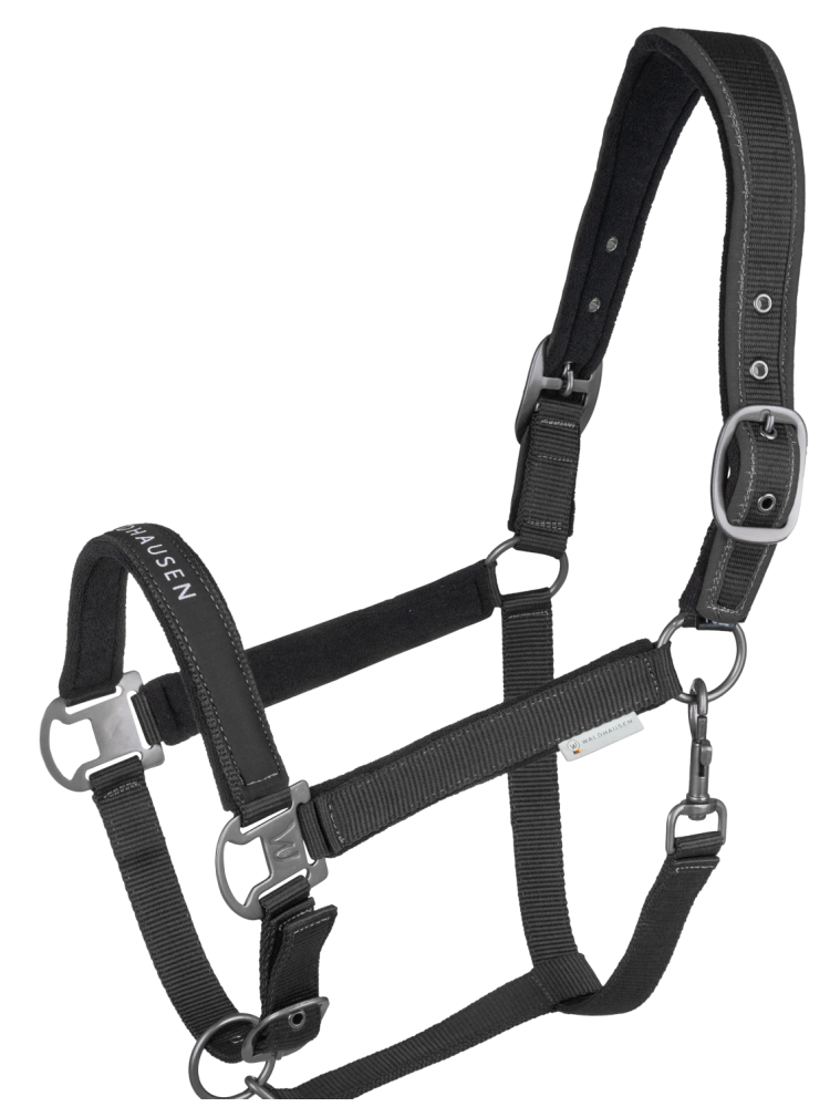 Halter Athletic Waldhausen