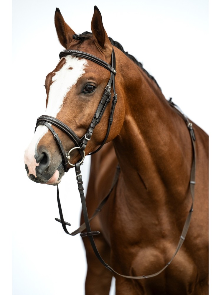 Bridle Jana HKM