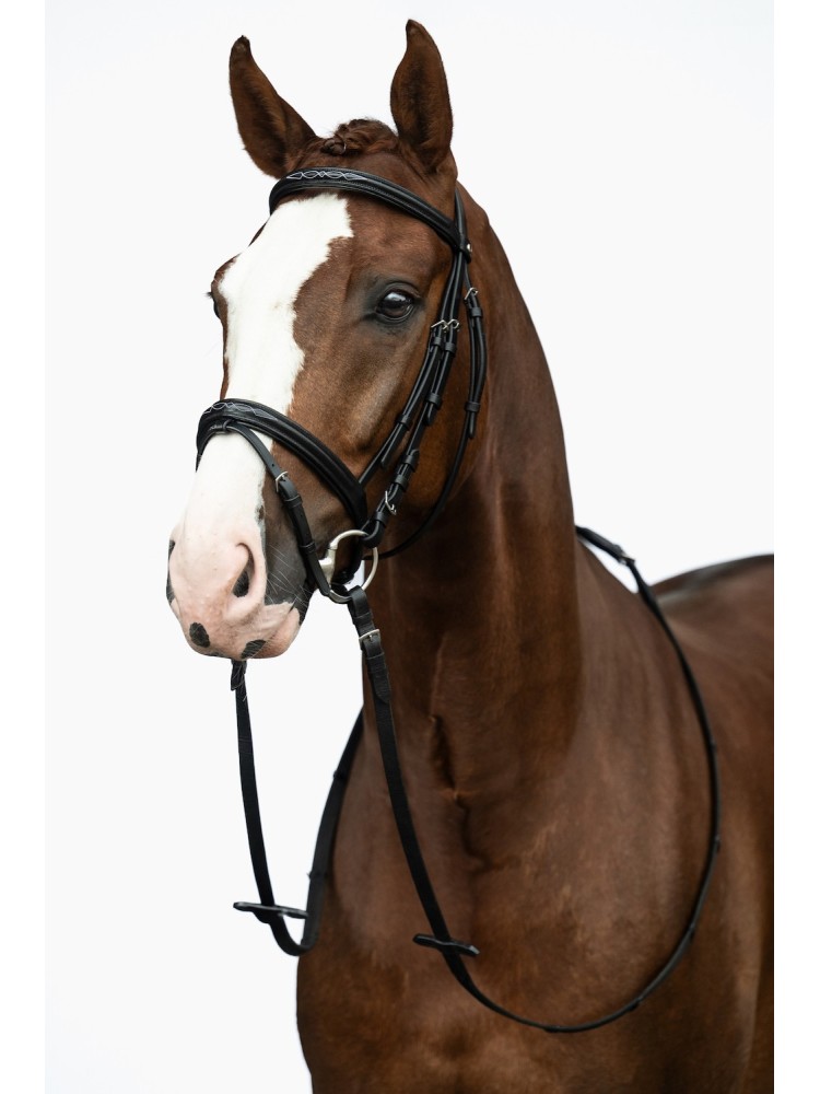 Bridle Jana HKM